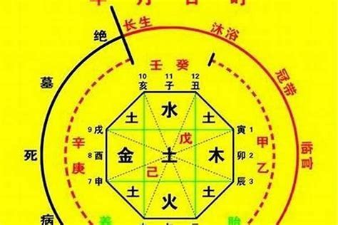 喜用神土|八字喜用神到底是什么